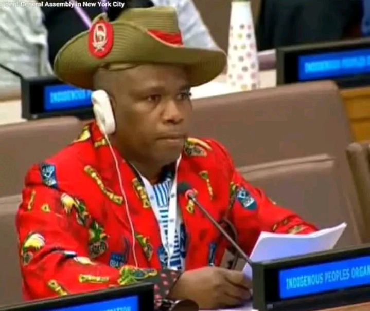 Argumen mengenai Indonesia melanggar hukum internasional terkait Papua