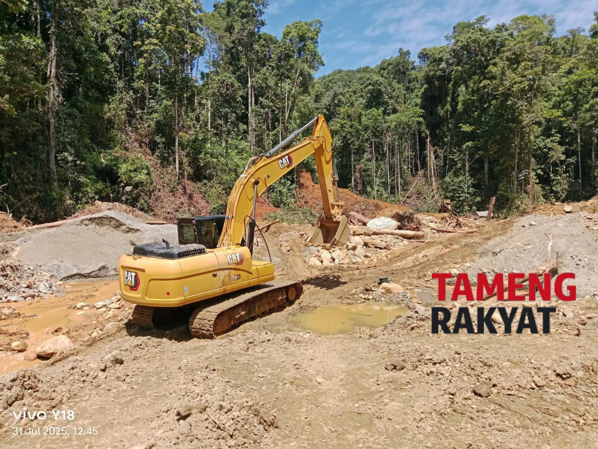 Tambang Ilegal di Topo-Siriwo Papua Tengah Kapan Ditindak?