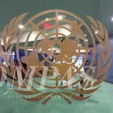 TPNPB OPM Desak Sekjen PBB Bentuk Tim Investigasi