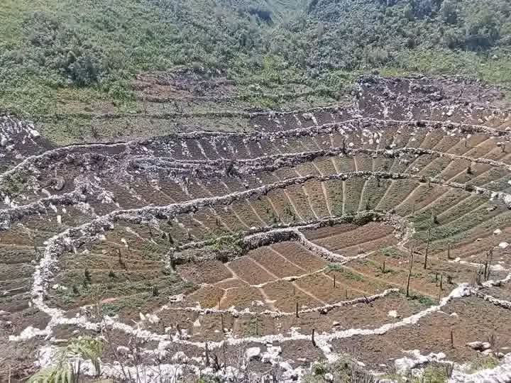 Kearifan Lokal Masyarakat Papua